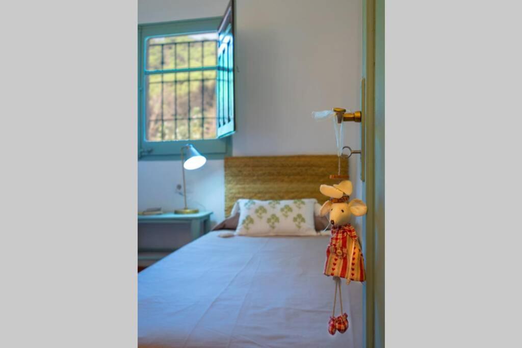 토르데라 Casa Rural Mas Del Gall - Casa Nova, Barcelona 빌라 외부 사진